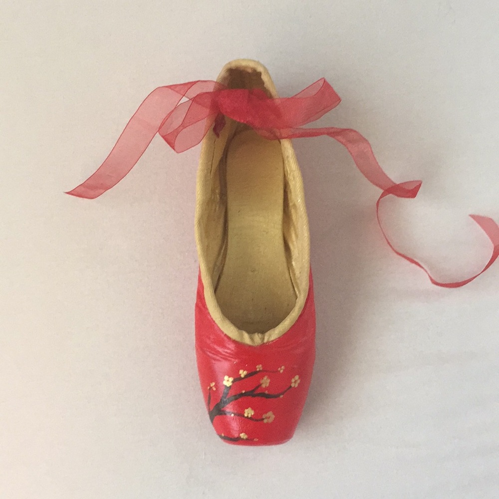 Painted pointe shoe